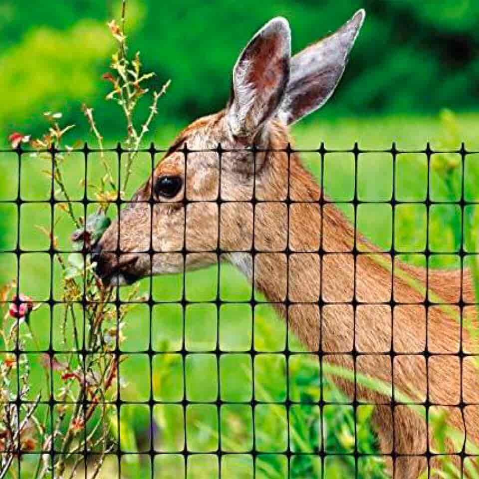 Plastic Deer Fence 1.8m x 100m